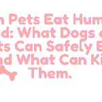 Can Pets Eat Human Food