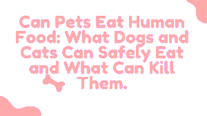 Can Pets Eat Human Food: What Dogs and Cats Can Safely Eat and What Can Kill Them 2 Can Pets Eat Human Food