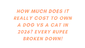 How Much Does It Really Cost to Own a Dog vs a Cat in 2026? Every Rupee Broken Down 4 Cost to Own a Dog