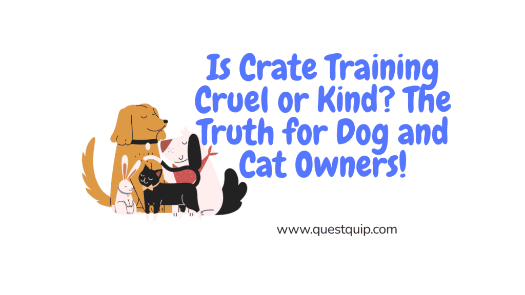 Crate Training