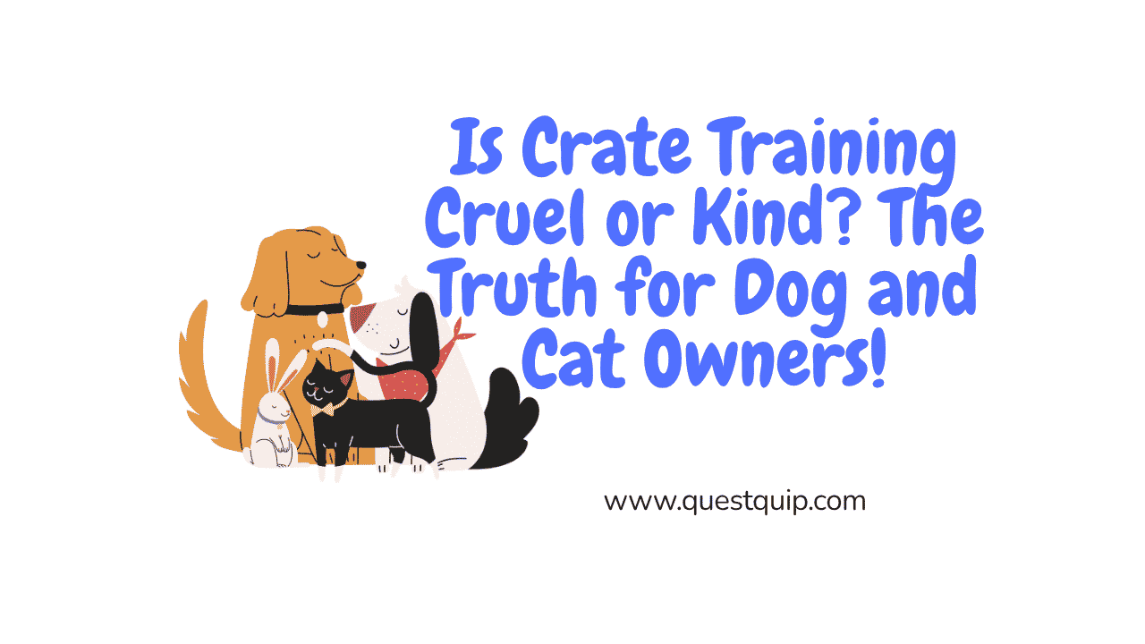 Crate Training