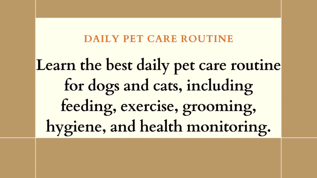 Daily Pet Care Routine