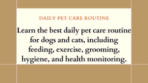What Is the Best Daily Pet Care Routine for Dogs and Cats? 2 Daily Pet Care Routine