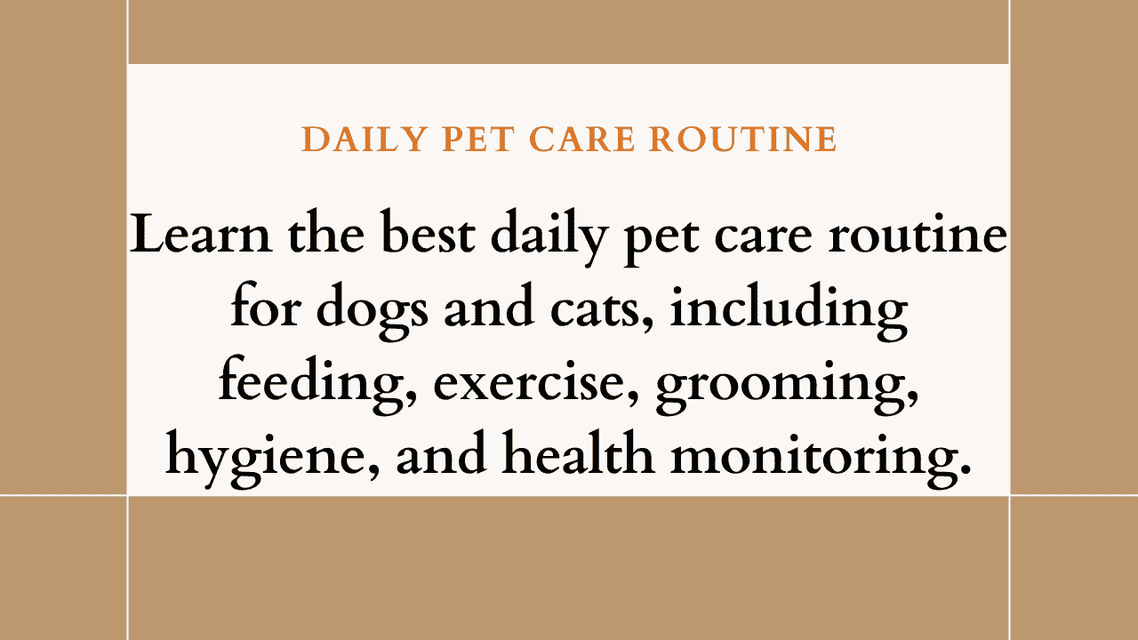 Daily Pet Care Routine
