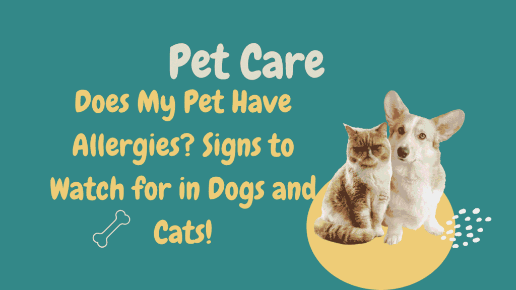 Does My Pet Have Allergies