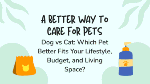 Dog vs Cat