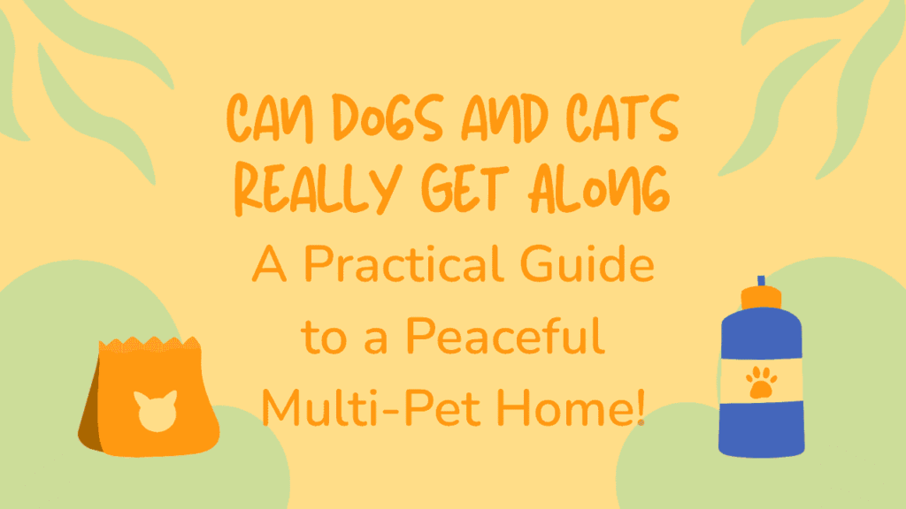 Dogs and Cats