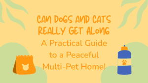 Dogs and Cats