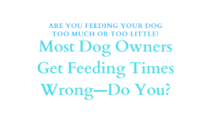 How Often Should You Feed a Dog Each Day? 1 Feeding Your Dog