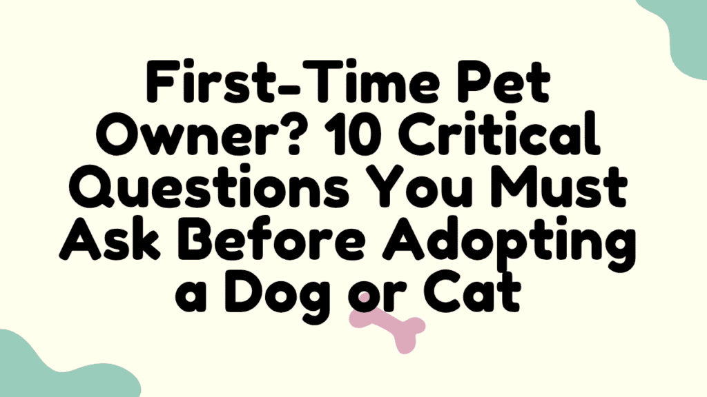 First-Time Pet Owner