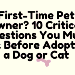First-Time Pet Owner