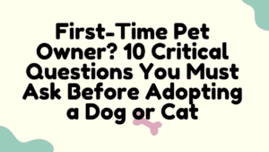 First-Time Pet Owner? 10 Critical Questions You Must Ask Before Adopting a Dog or Cat 3 First-Time Pet Owner
