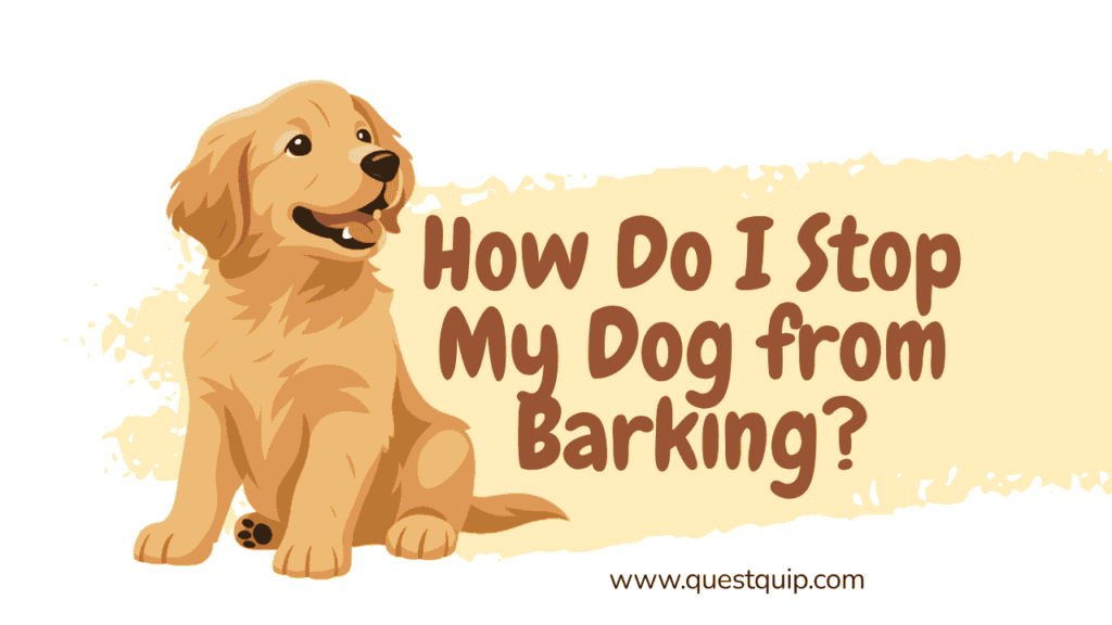 How Do I Stop My Dog from Barking? Effective Training Techniques That Actually Work 1 Stop My Dog from Barking