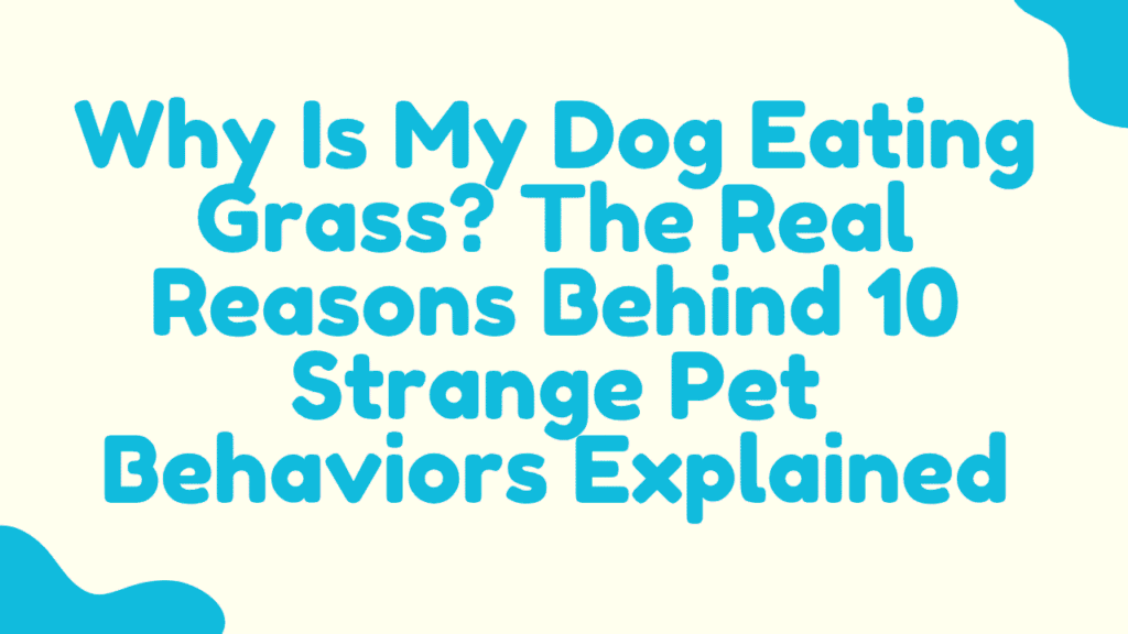 Why Is My Dog Eating Grass? The Real Reasons Behind 10 Strange Pet Behaviors Explained 1 Dog Eating Grass
