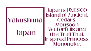 Yakushima, Japan: Walking Through 7,000 Years Inside the World's Most Ancient Living Forest 5 Yakushima, Japan