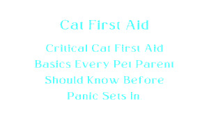 Cat First Aid Basics: What Every Cat Owner Should Know 7 Cat First Aid