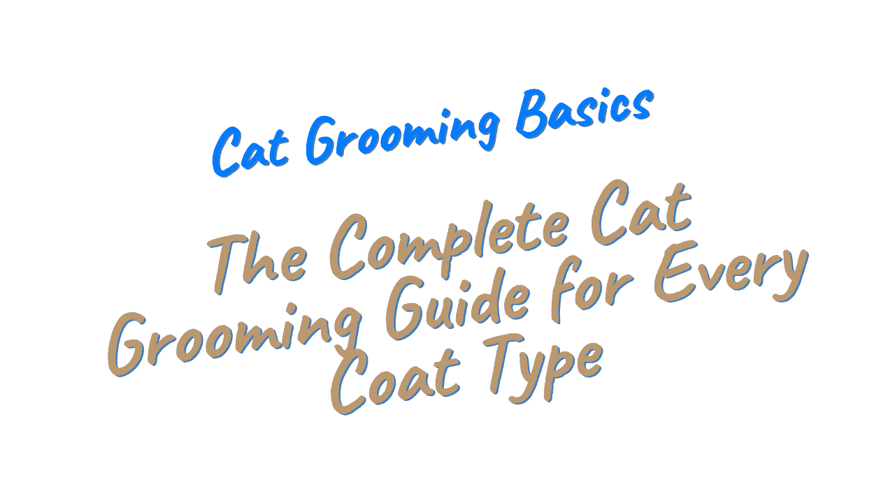 Cat Grooming Basics
