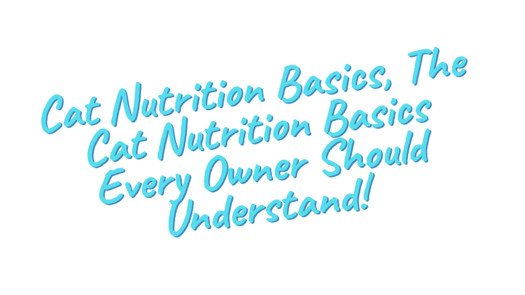 Cat Nutrition Basics