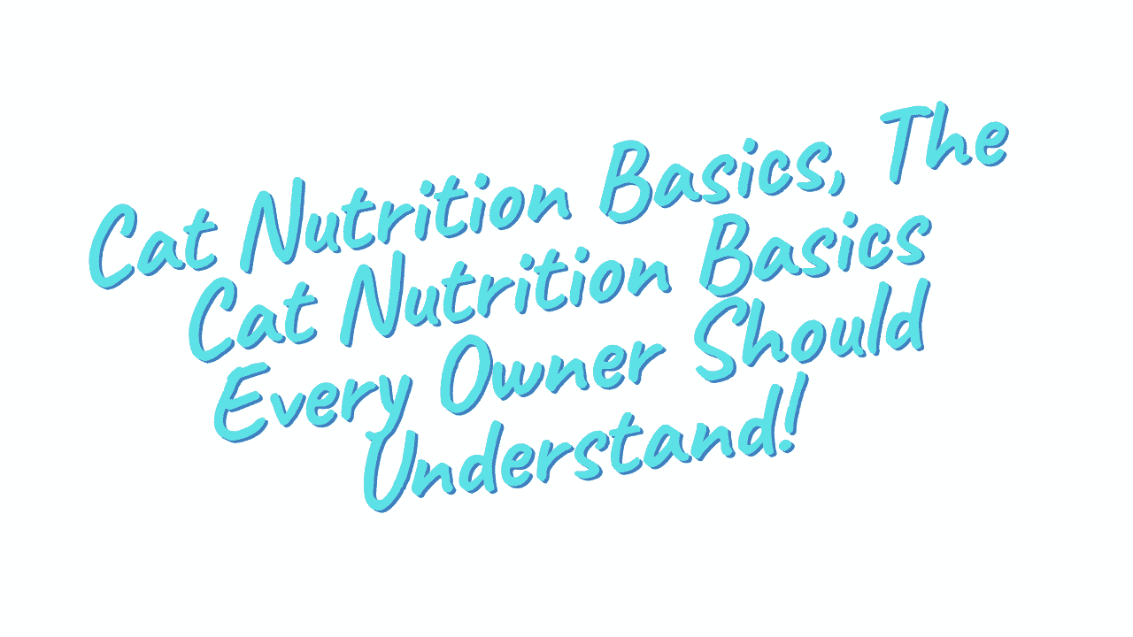 Cat Nutrition Basics
