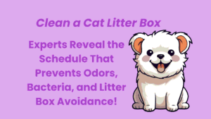 How Often Should You Clean a Cat Litter Box? 6 Clean a Cat Litter Box