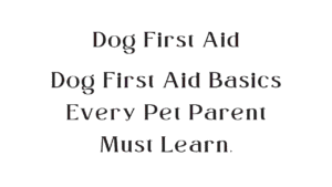 Dog First Aid Basics: What Every Dog Owner Should Know 8 Dog First Aid