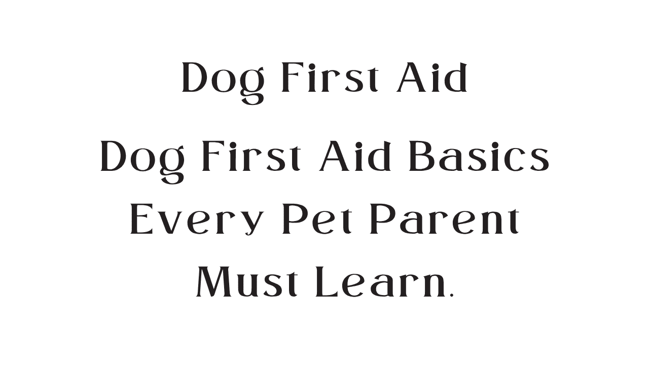 Dog First Aid