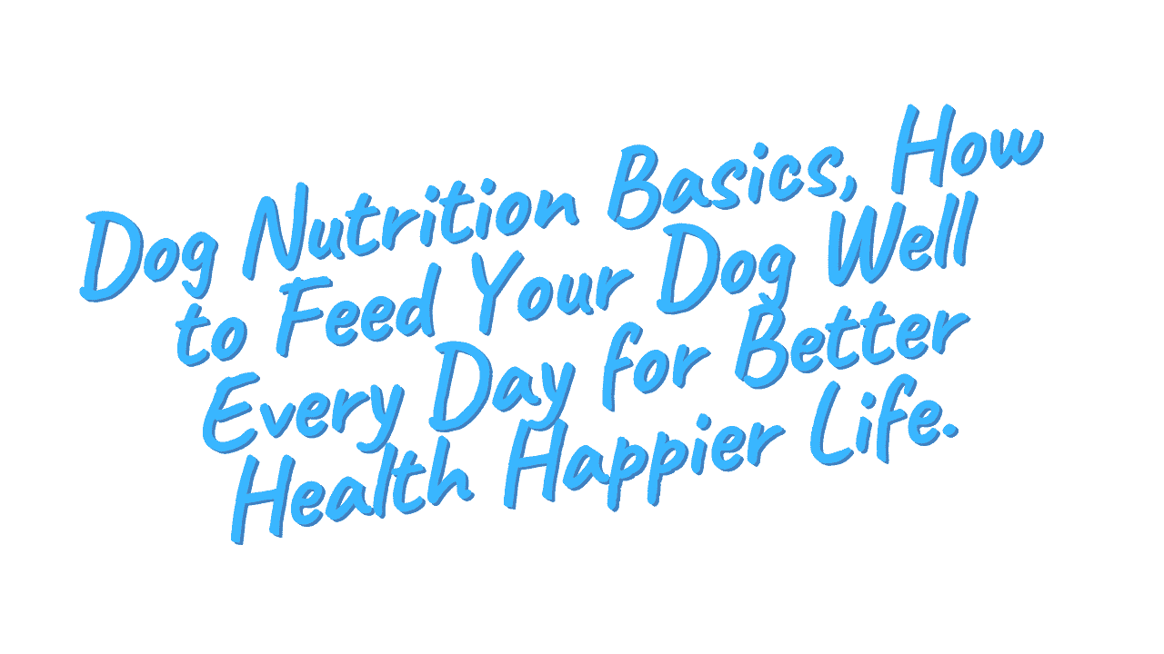 Dog Nutrition Basics