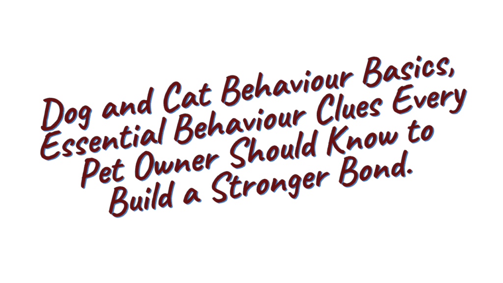 Dog and Cat Behaviour Basics: What Your Pet Is Trying to Tell You 1 Dog and Cat Behaviour Basics