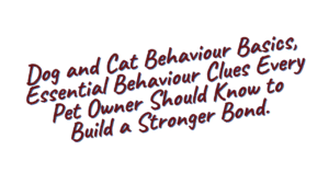 Dog and Cat Behaviour Basics: What Your Pet Is Trying to Tell You 7 Dog and Cat Behaviour Basics