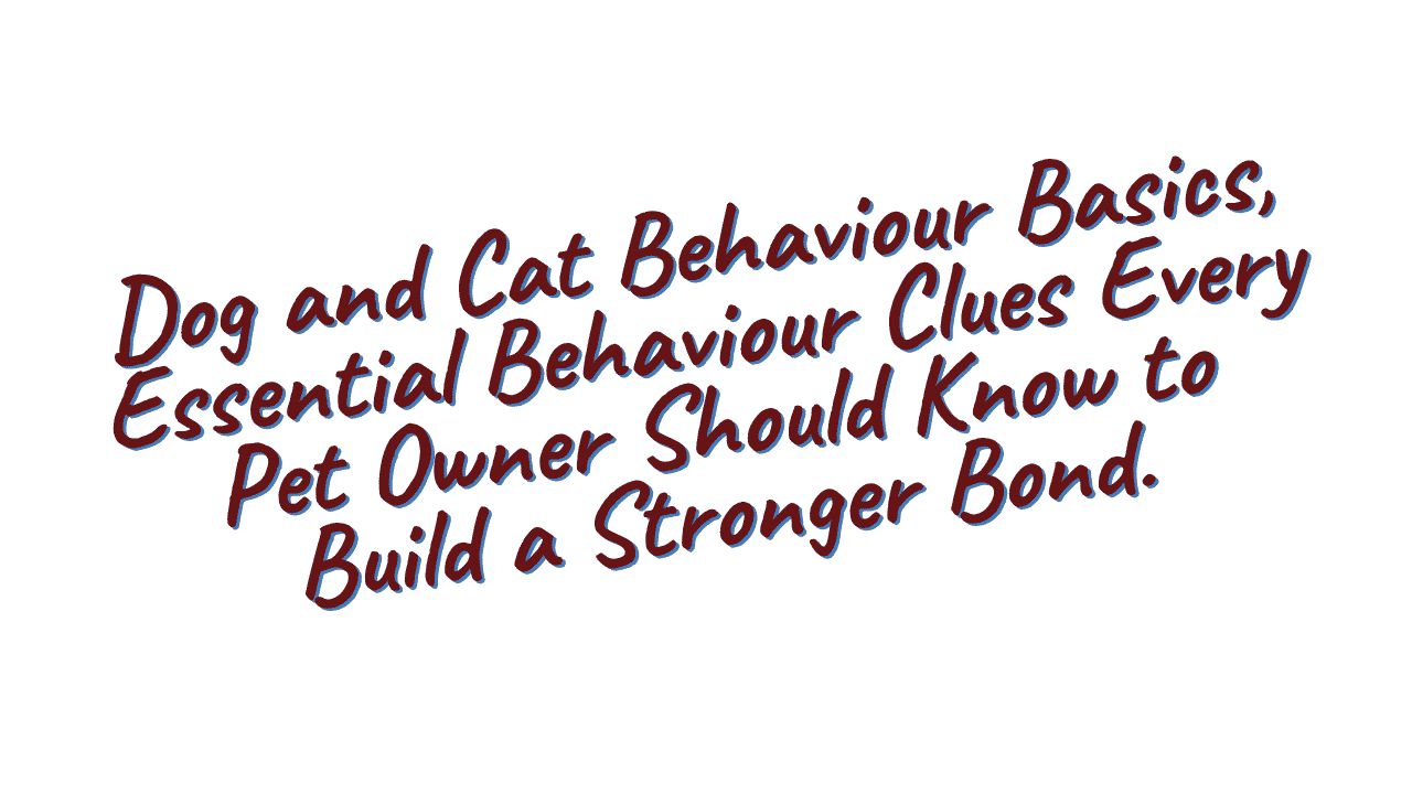 Dog and Cat Behaviour Basics
