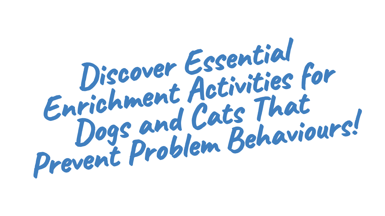 Dog and Cat Enrichment Basics