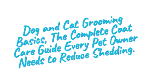 Dog and Cat Grooming Basics: A Complete Guide for Every Coat Type 6 Dog and Cat Grooming Basics