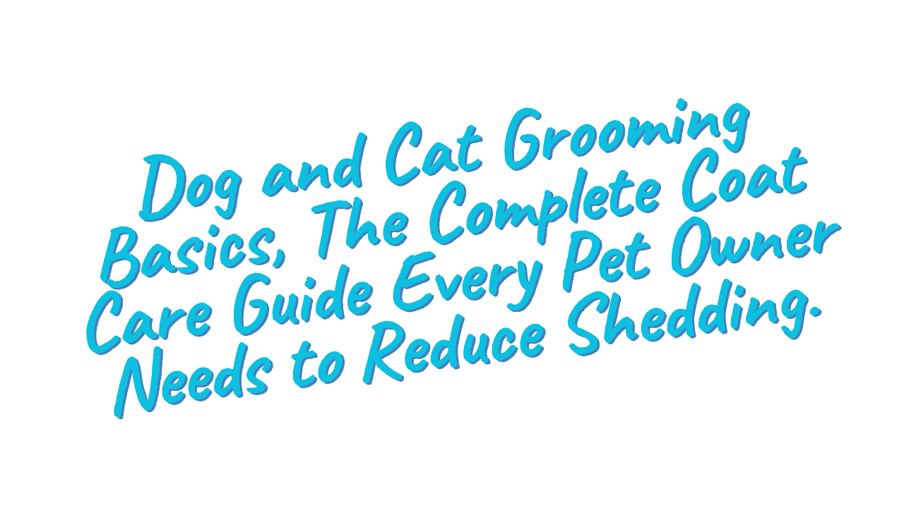Dog and Cat Grooming Basics