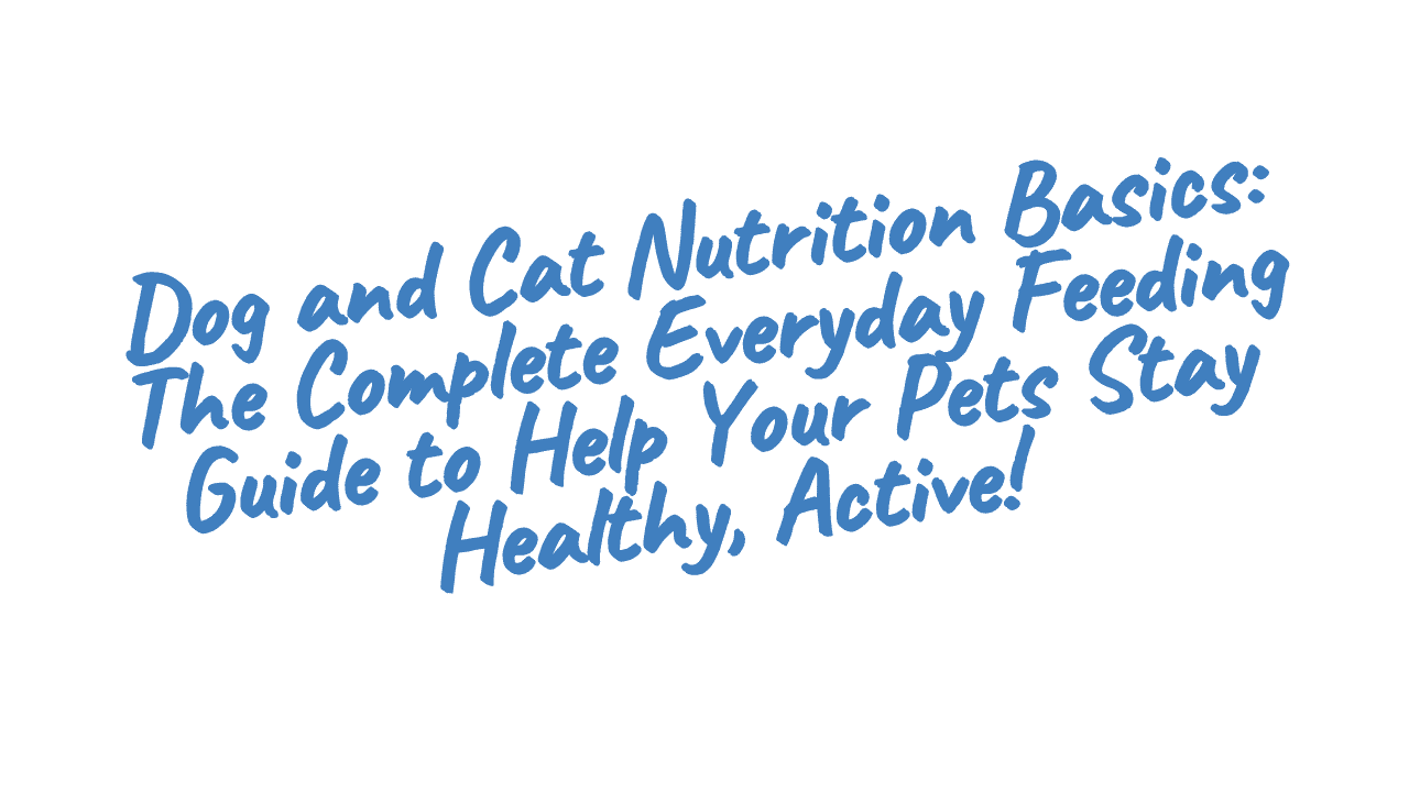 Dog and Cat Nutrition Basics