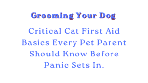 Grooming Your Dog