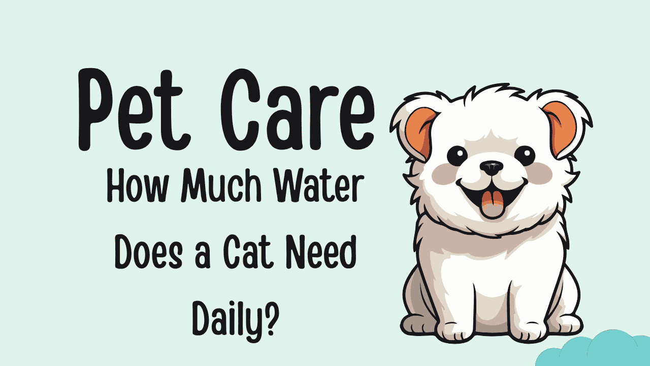 How Much Water Does a Cat Need Daily