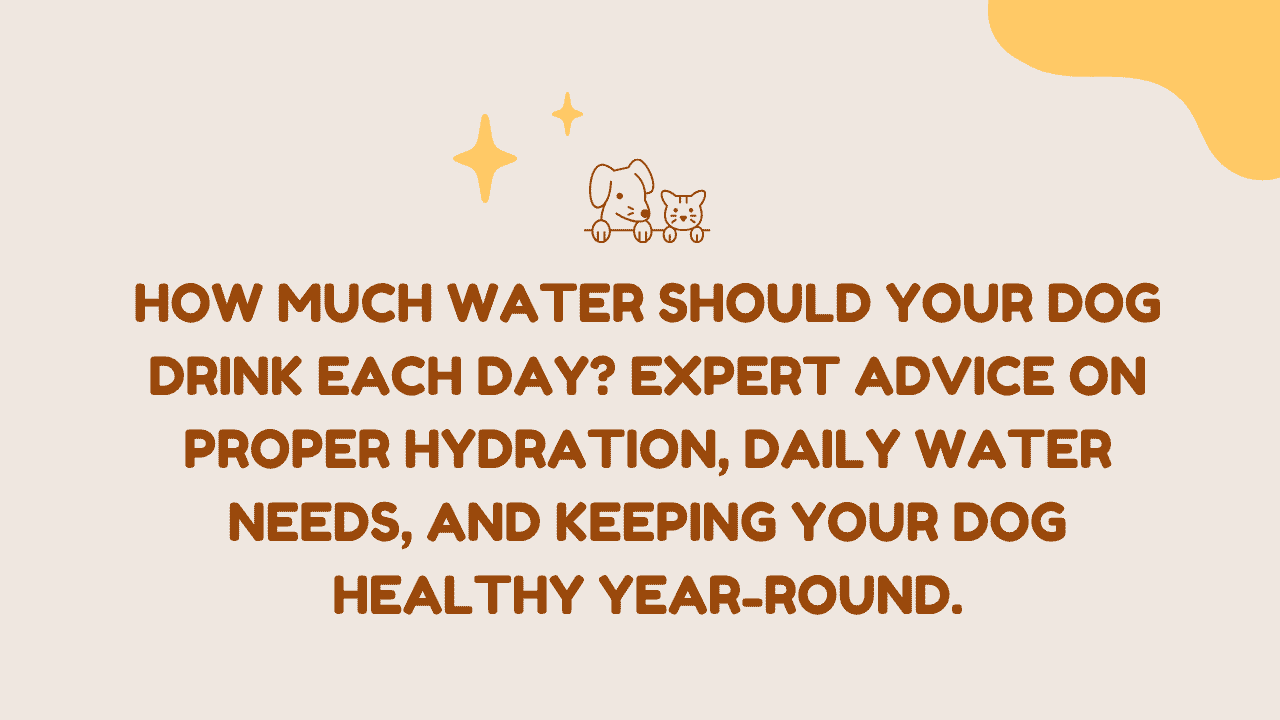 How Much Water Should a Dog Drink