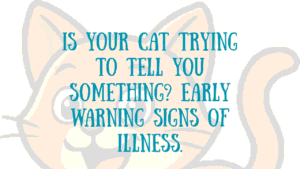 What Are the Early Signs of Illness in Cats? 3 Illness in Cats