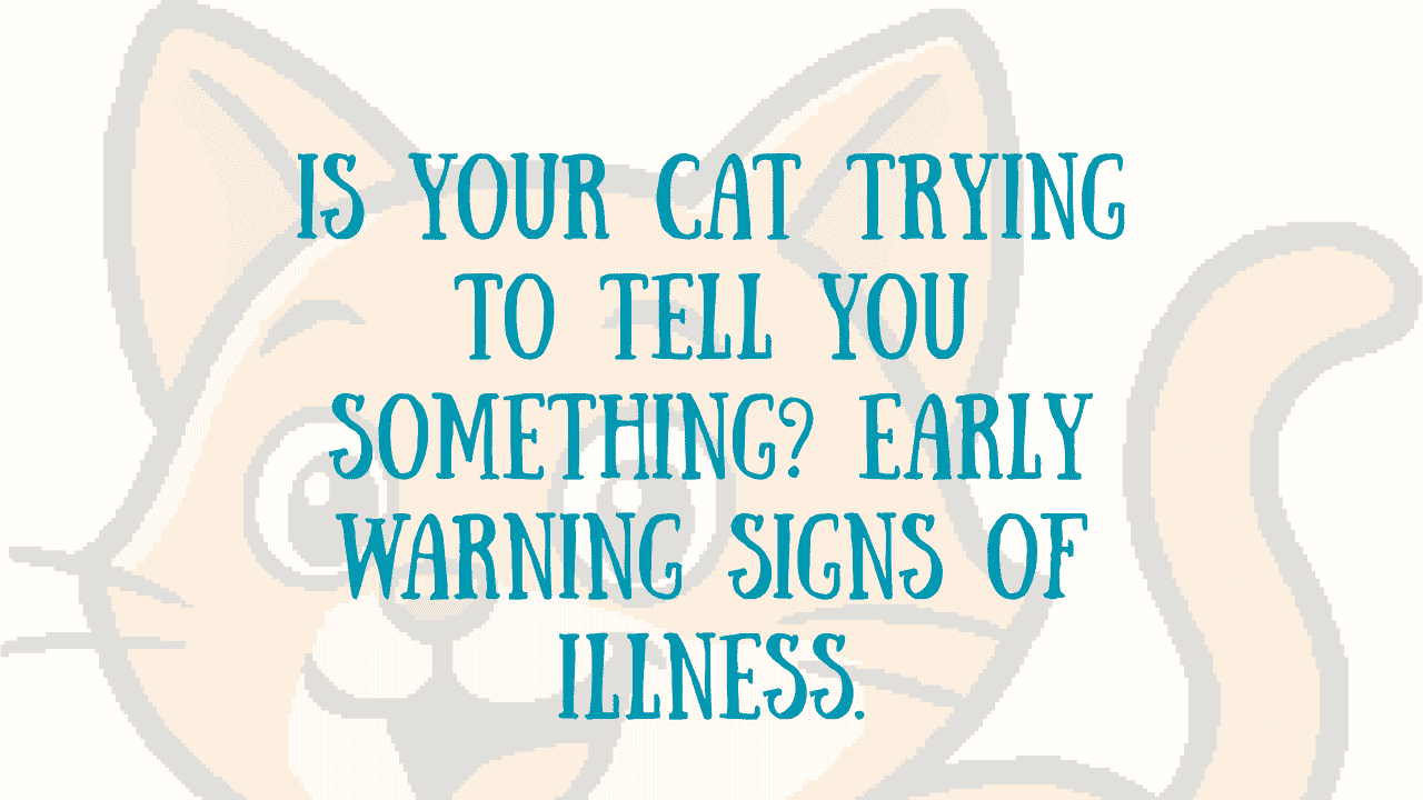 Illness in Cats