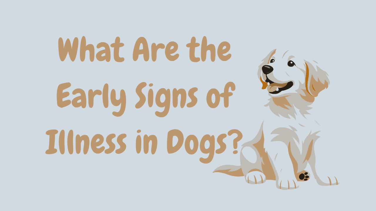Illness in Dogs