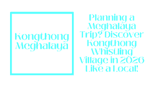 Kongthong Whistling Village Guide: Visit Meghalaya’s Village Where Names Are Songs 10 Kongthong Meghalaya