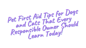 Pet First Aid for Dogs and Cats: What Every Owner Should Know 9 Pet First Aid Tips for Dogs and Cats