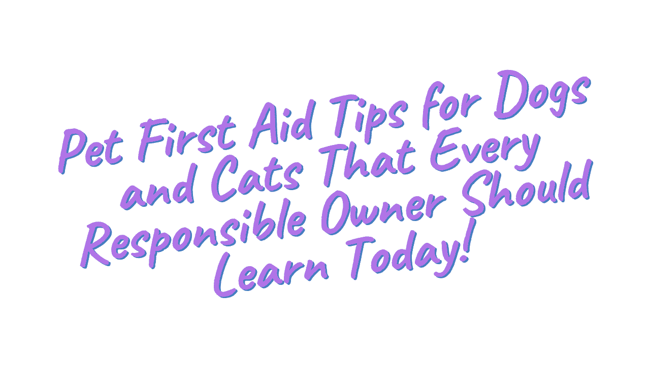 Pet First Aid Tips for Dogs and Cats