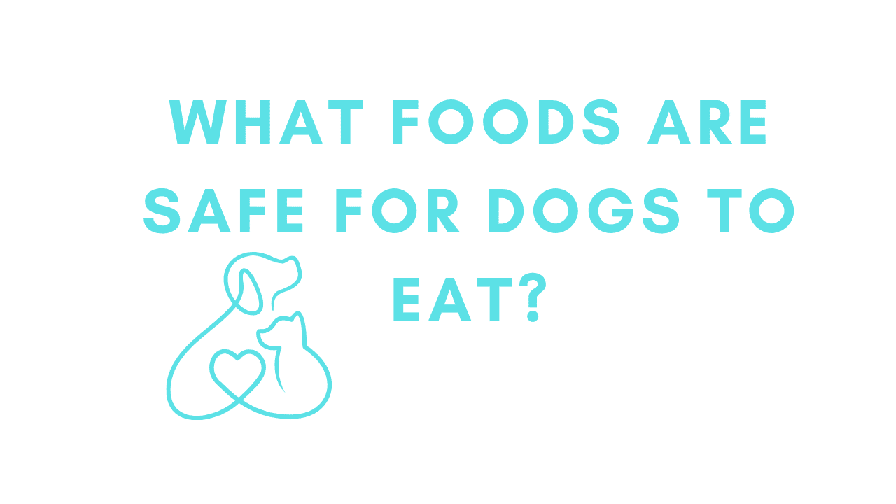 Safe for Dogs to Eat